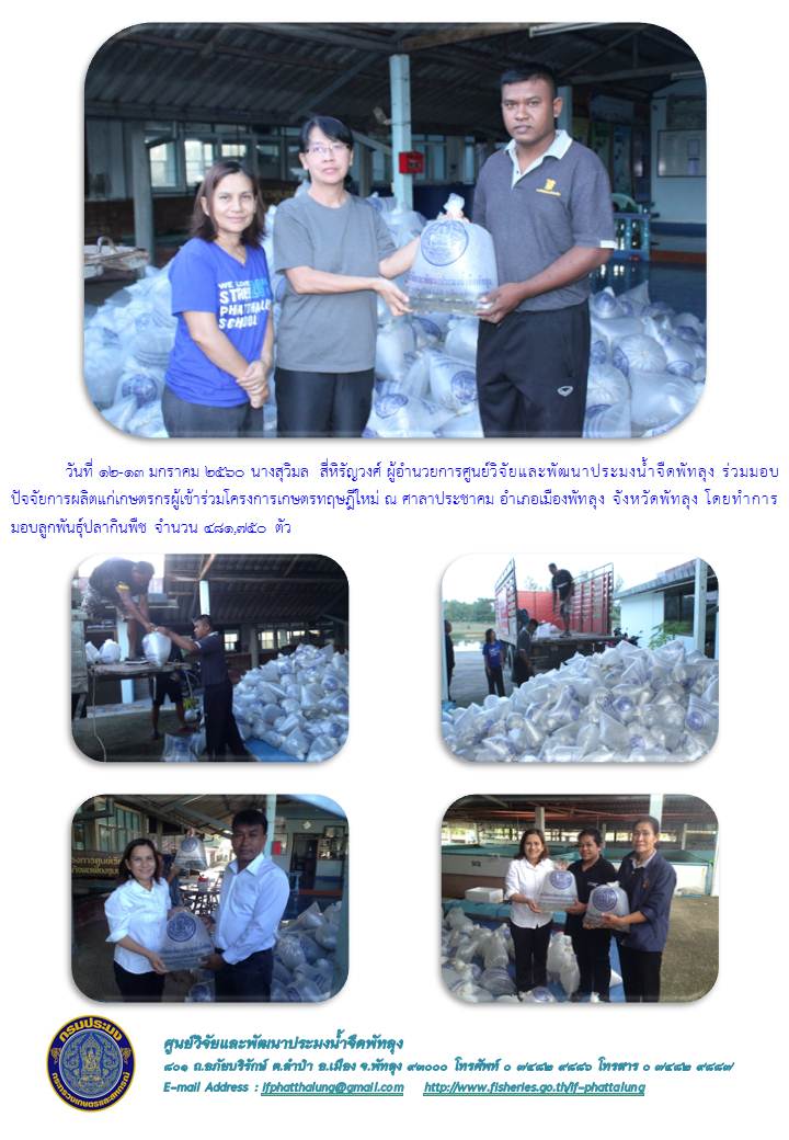 ศปจ.พัทลุง ร่วมมอบปัจจัยการผลิตแก่เกษตรกรผู้เข้าร่วมโครงการเกษตรทฤษฎีใหม่..คลิก