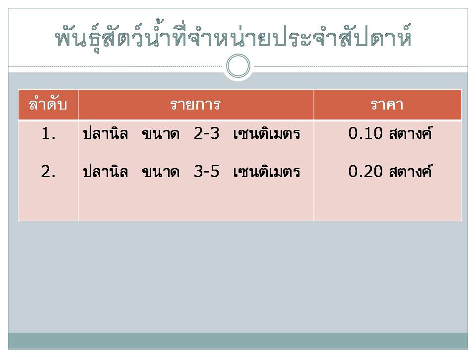 พันธุ์ปลาที่จำหน่ายประจำสัปดาห์ 14 กุมภาพันธ์ 2560..คลิก
