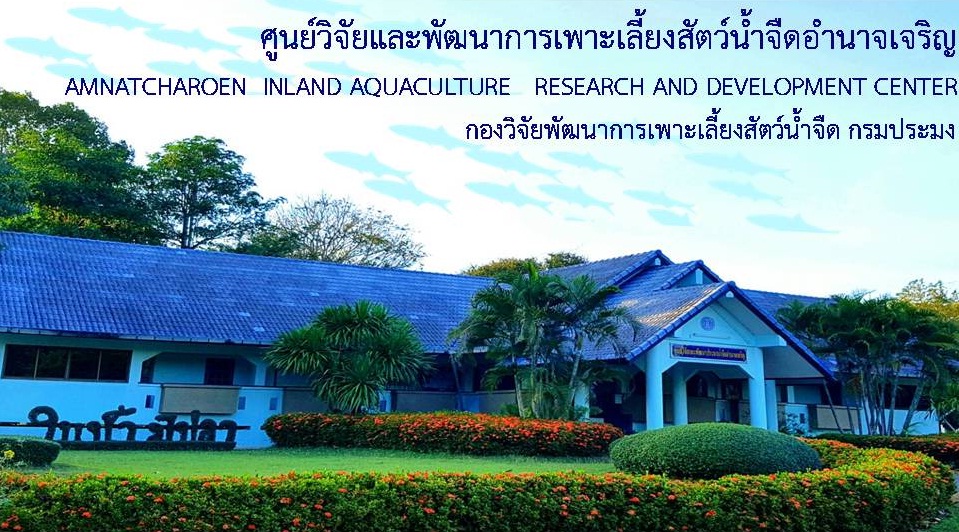 แบนเนอร์