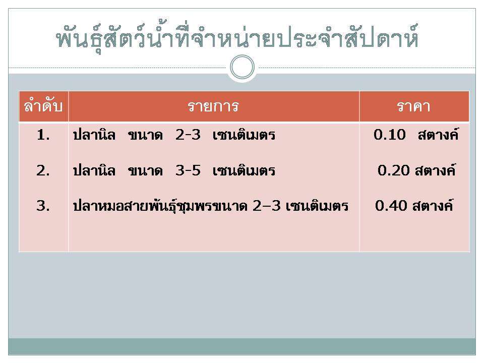พันธุ์ปลาที่จำหน่ายประจำสัปดาห์ 27 กุมภาพันธ์ 2560..คลิก