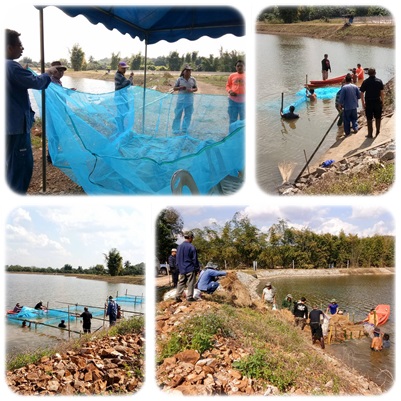 ร่วมทำกิจกรรมที่โครงการธนาคารผลผลิตเกษตรด้านการประมงของจังหวัดลำพูน ณ หนองงิ้วงก ตำบลป่าไผ่ อำเภอลี้ จังหวัดลำพูน..คลิก