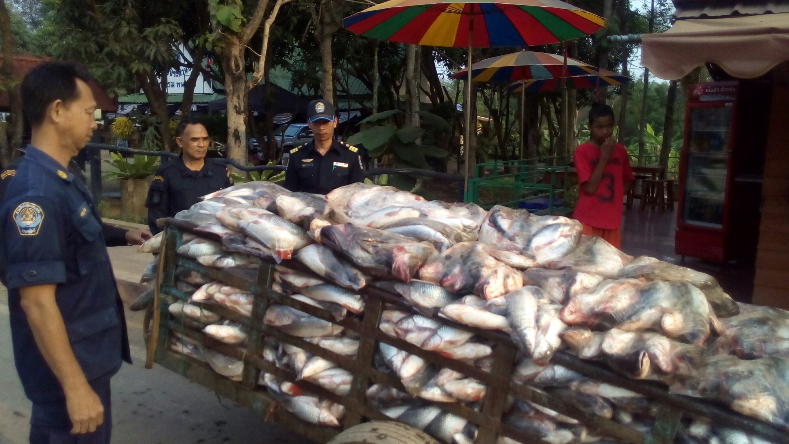 เจ้าหน้าที่ด่านฯออกตรวจป้องกันการลักลอบนำเข้า-ส่งออกบริเวณจุดผ่อนปรน..คลิก