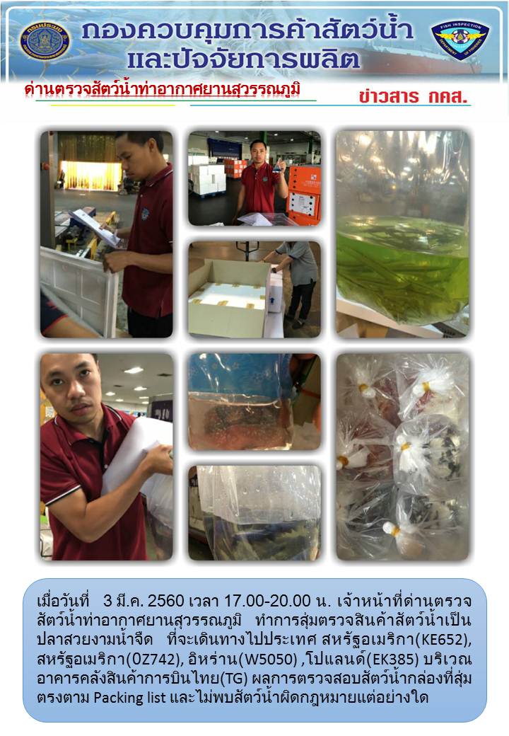ข่าว กคส...คลิก