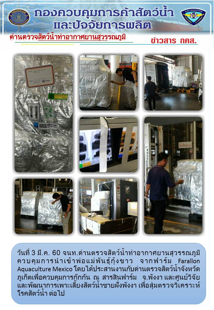ข่าว กคส...คลิก