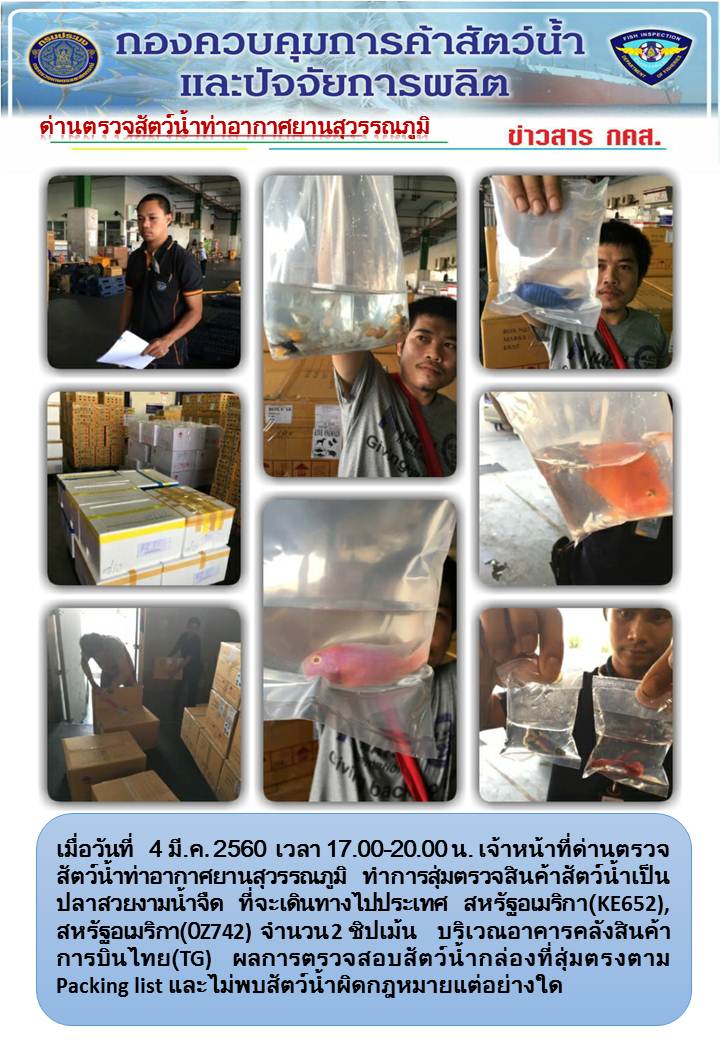 ข่าว กคส...คลิก