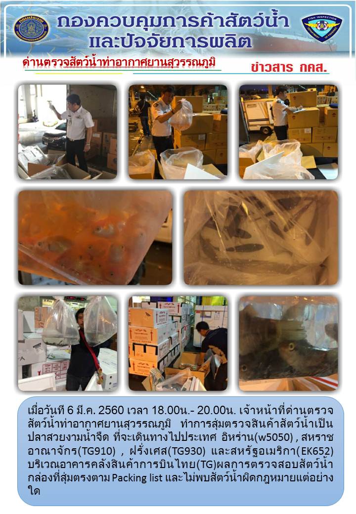ข่าว กคส...คลิก