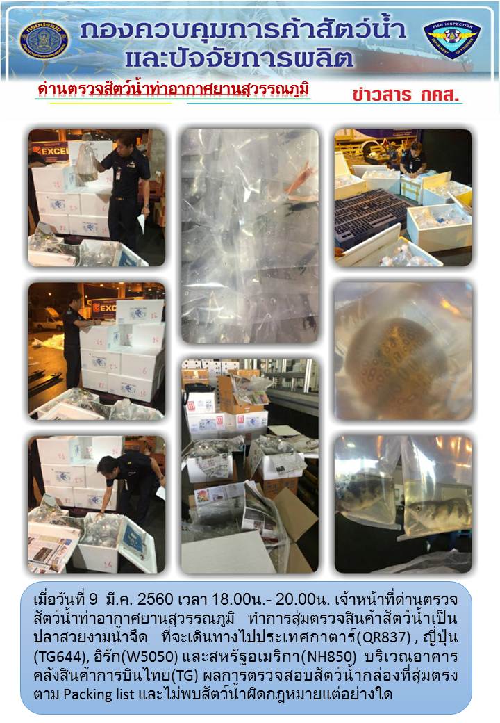 ข่าว กคส...คลิก