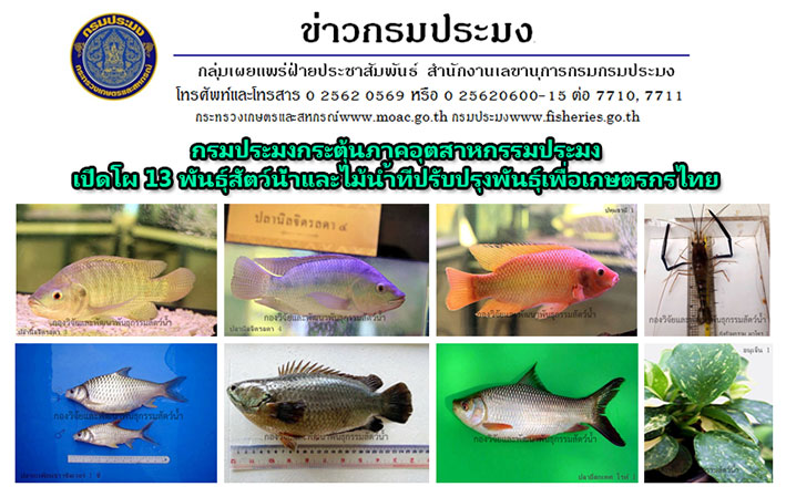 13 พันธุ์สัตว์น้ำและไม้น้ำปรับปรุงพันธุ์เพื่อเกษตรกรไทย