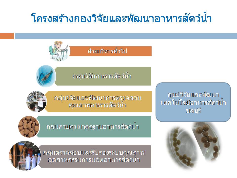 หน้าที่ความรับผิดชอบ..คลิก