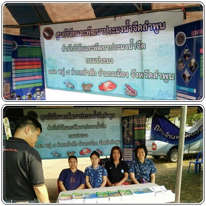 ร่วมงานวัน อสม.แห่งชาติ อำเภอเมืองลำพูน จังหวัดลำพูน ปี ๒๕๖๐..คลิก