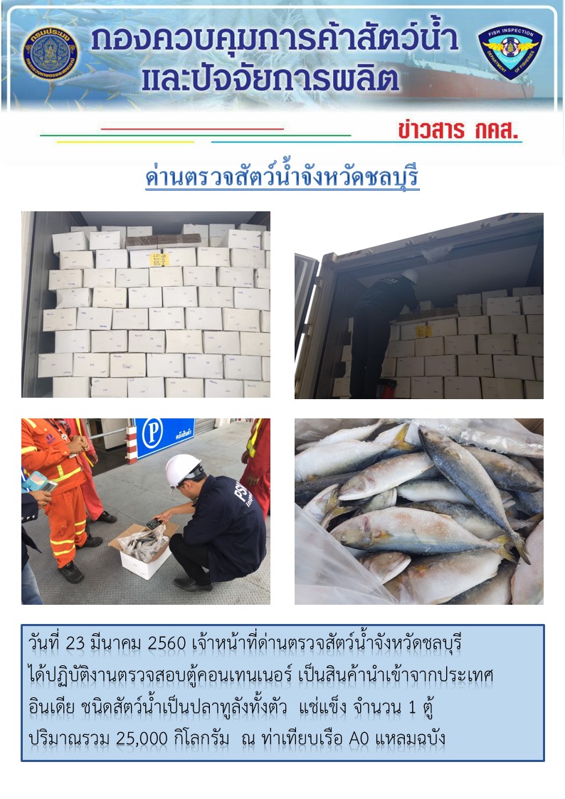 ตรวจสอบตู้คอนเทนเนอร์สินค้าปลาทูลังทั้งตัวแช่แข็งนำเข้าจากประเทศอินเดีย..คลิก