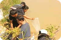 ปล่อยกุ้งก้ามกรามงานวิจัย ครั้งที่ 4..คลิก
