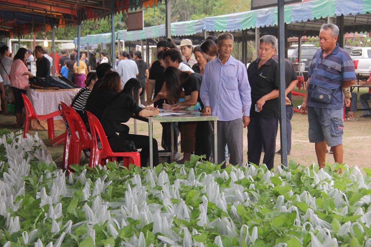 โครงการองค์การบริหารส่วนจังหวัดชลบุรีร่วมใจ ห่วงใยประชาชน ณ โรงเรียนบ้านสระสี่เหลี่ยม ตำบลสระสี่เหลี่ยม อำเภอพนัสนิคม จังหวัดชลบุรี..คลิก