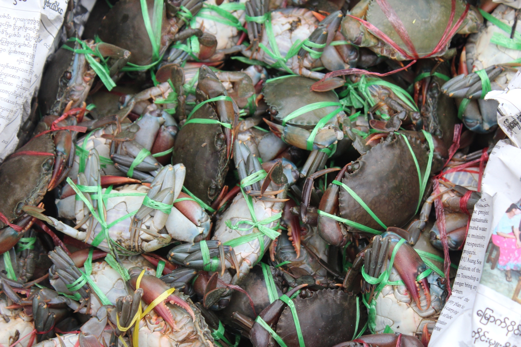 สินค้านำเข้าจากประเทศเมียนมาร์..คลิก