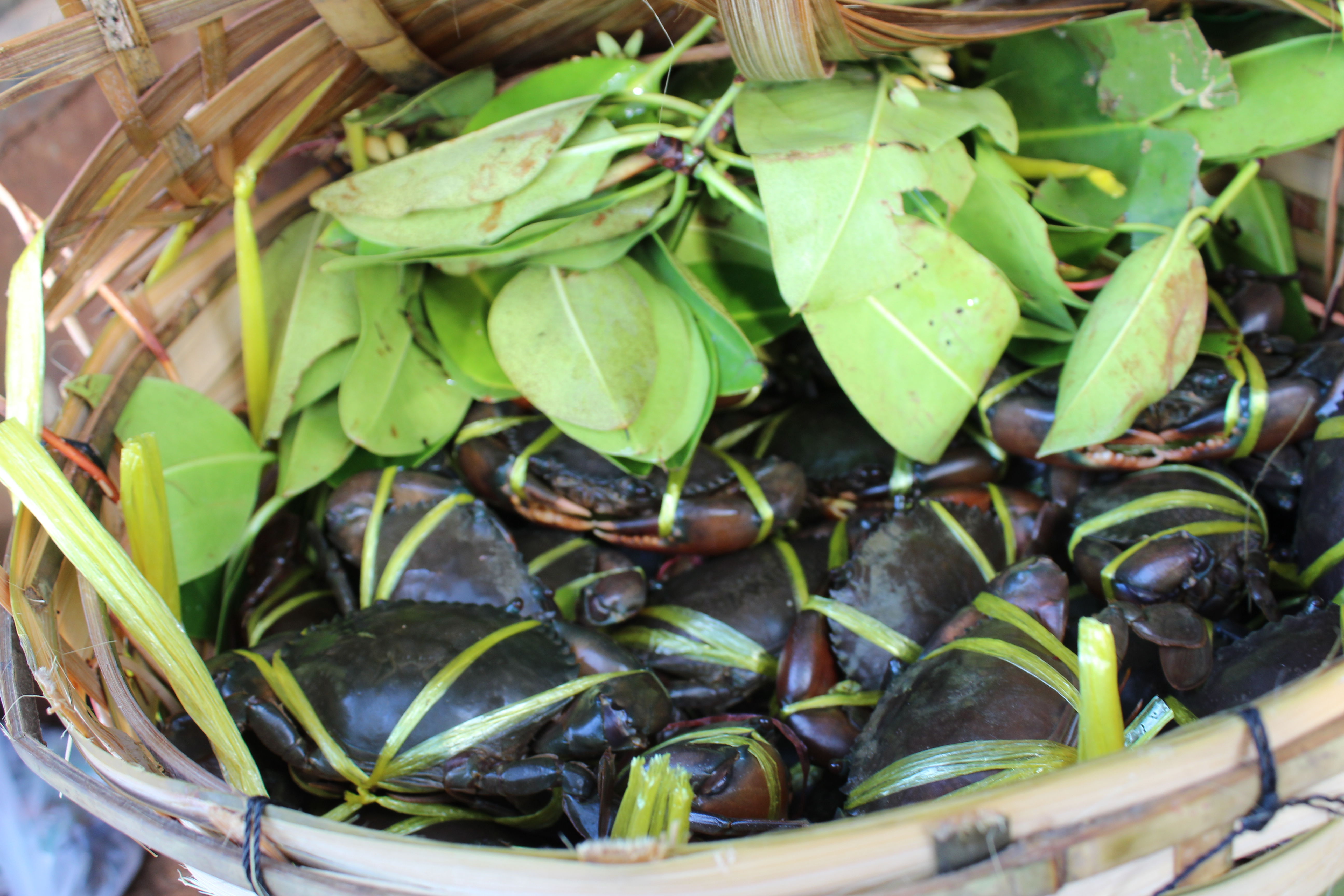 สินค้านำเข้าจากประเทศเมียนมาร์..คลิก