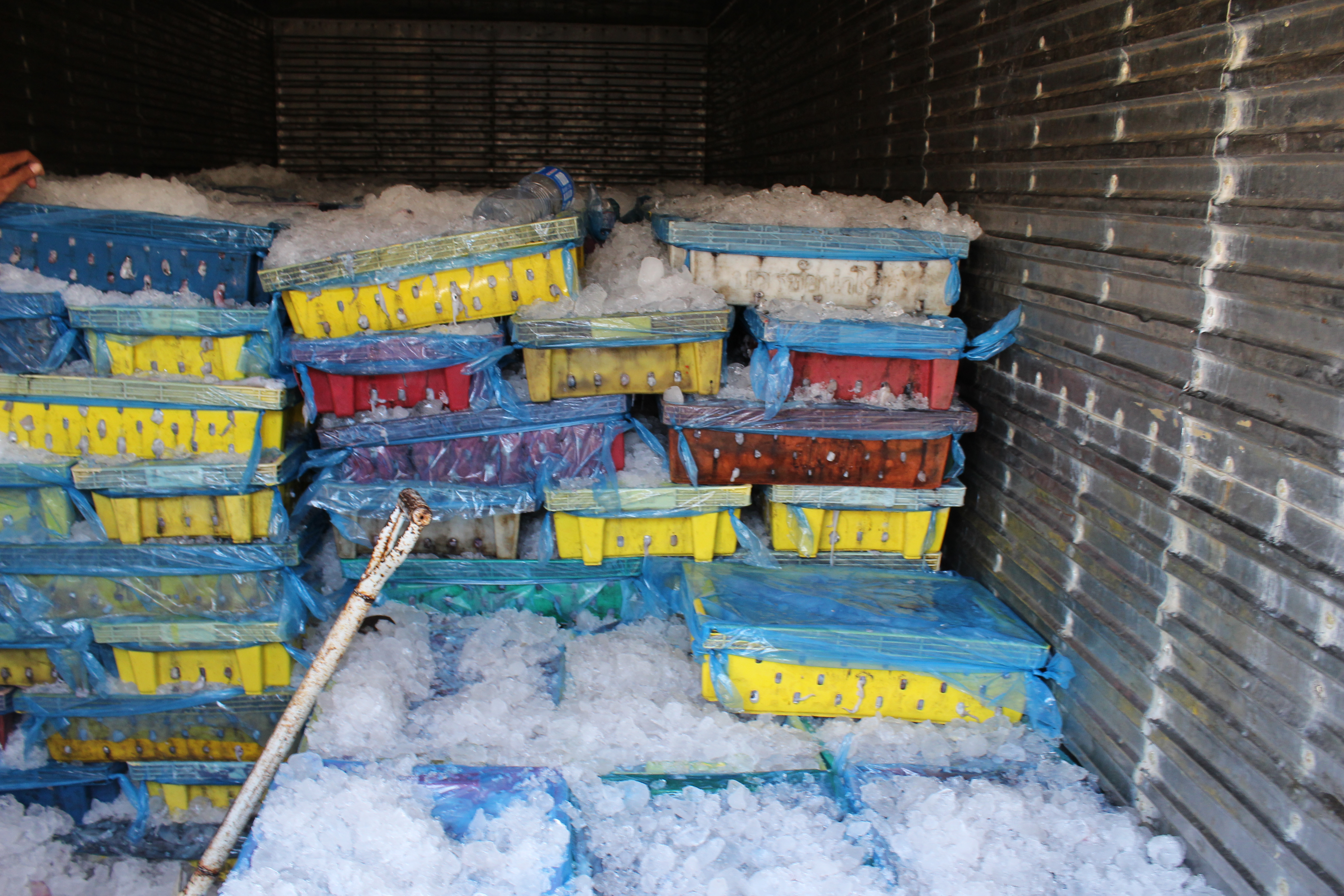 สินค้านำเข้าจากประเทศเมียนมาร์..คลิก