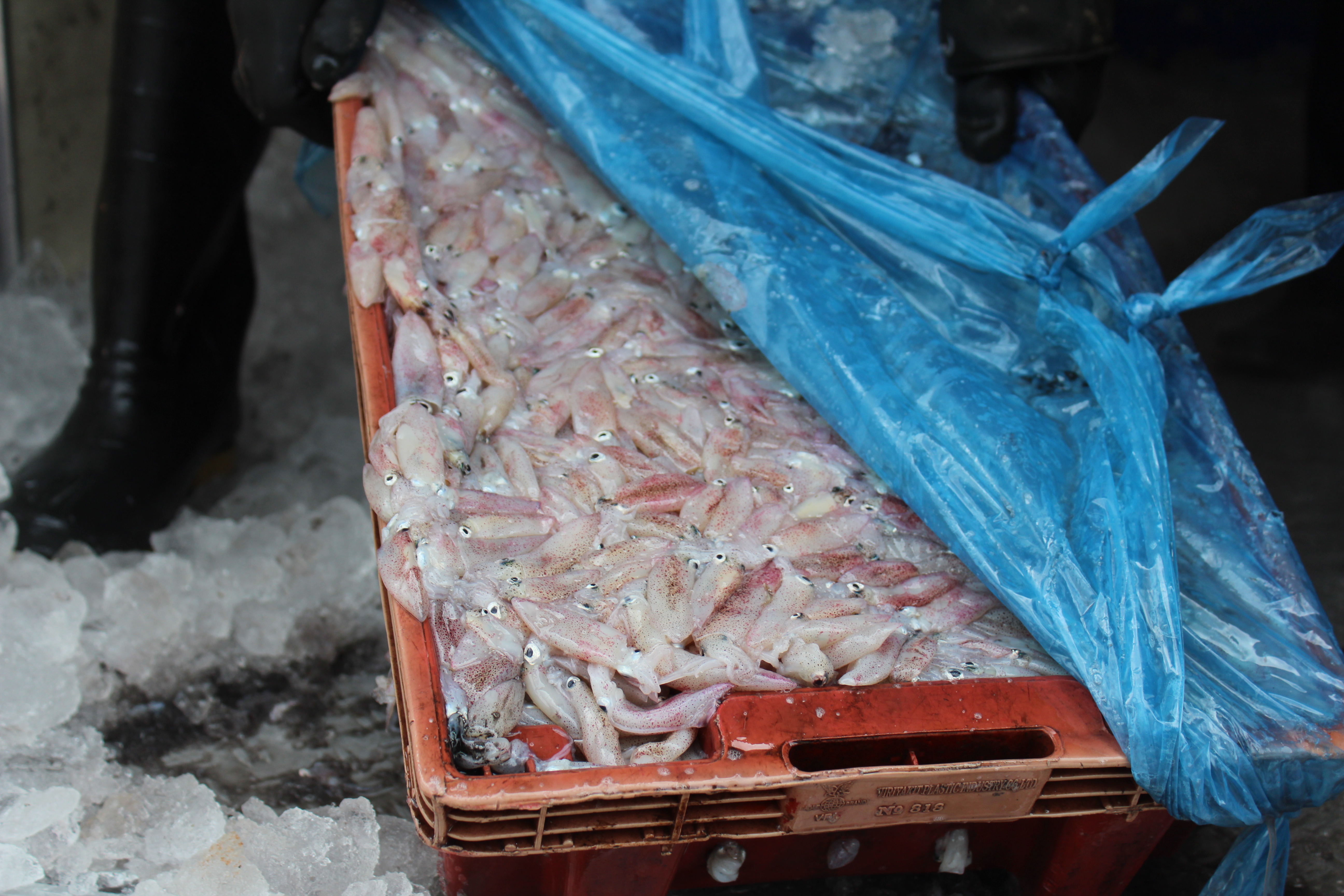 สินค้านำเข้าจากประเทศเมียนมาร์