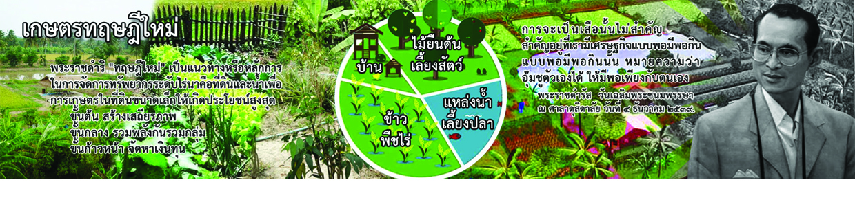 โครงการเกษตรทฤษฎีใหม่