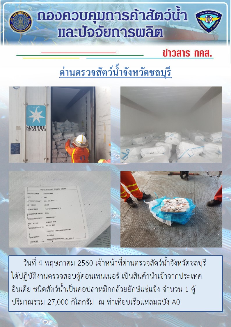 ตรวจสอบตู้คอนเทนเนอร์คอปลาหมึกกล้วยยักษ์แช่แข็ง สินค้านำเข้าจากประเทศอินเดีย..คลิก