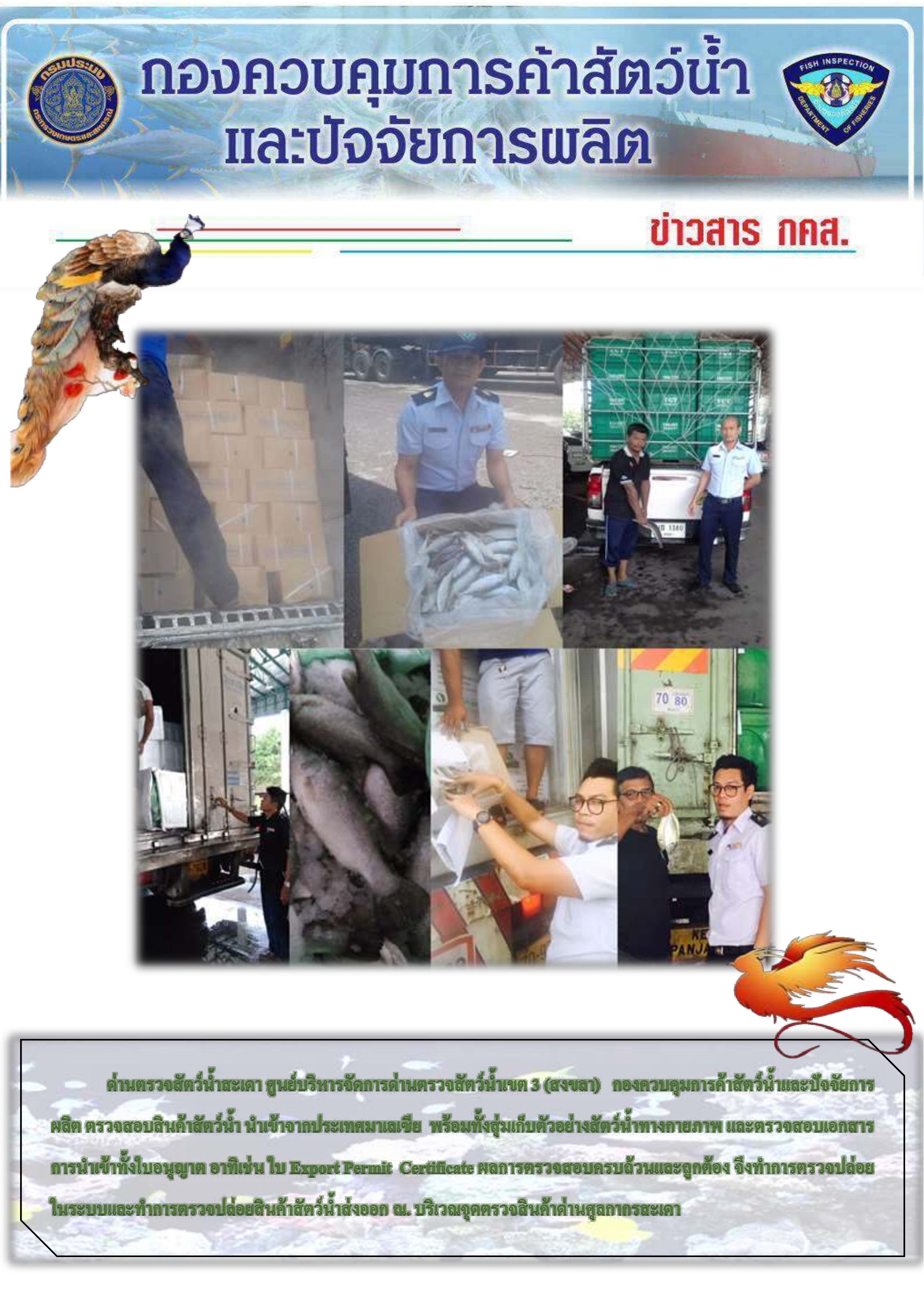 ข่าวสาร กคส ประจำวันนี้ จากด่านตรวจสัตว์น้ำสะเดา..คลิก