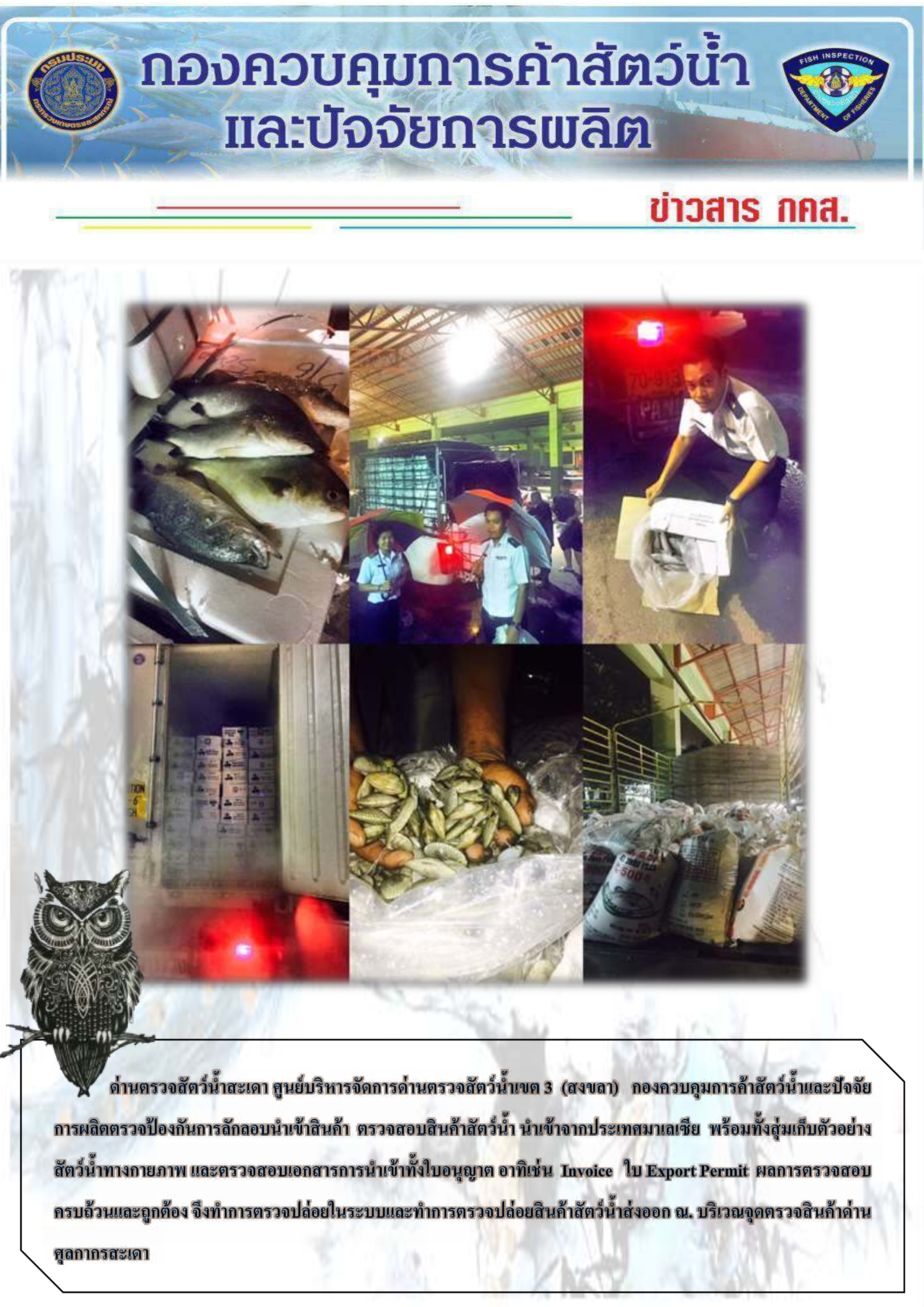 ข่าวสาร กคส ประจำวันนี้ จากด่านตรวจสัตว์น้ำสะเดา..คลิก