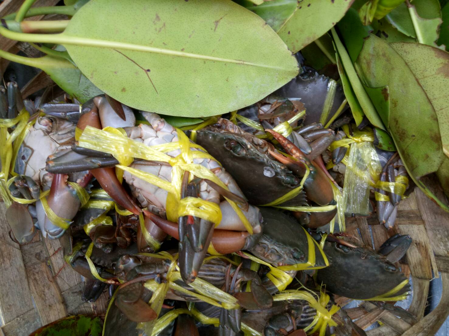 สินค้านำเข้าจากประเทศเมียนมาร์..คลิก