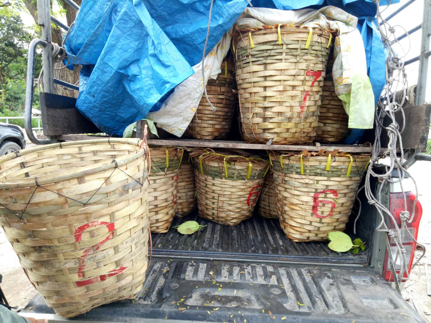 สินค้านำเข้าจากประเทศเมียนมาร์