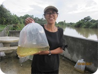 ปล่อยกุ้งก้ามกรามงานวิจัย ครั้งที่ 8