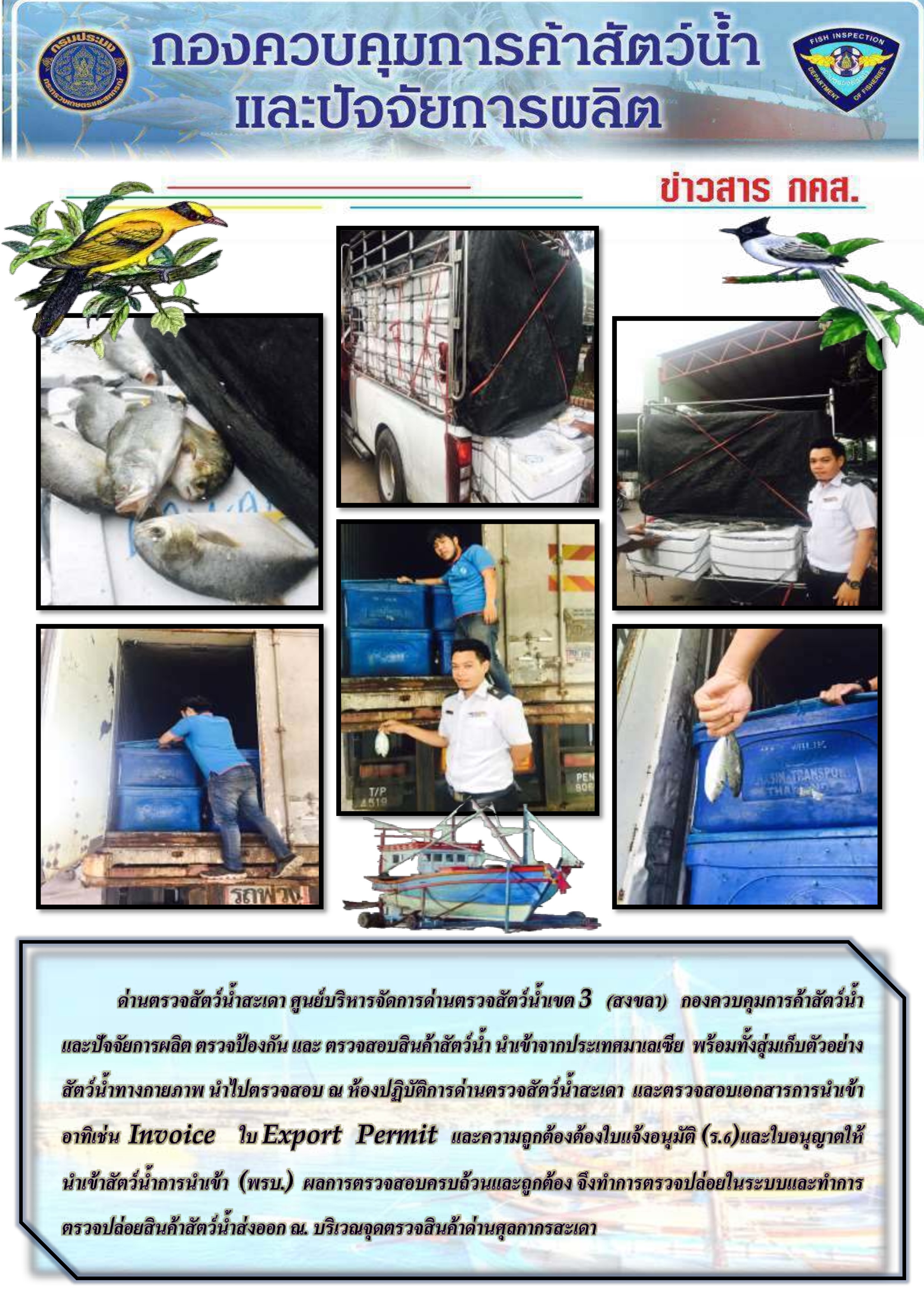 ข่าวสาร กคส. ประจำวัน (ตรวจสอบสินค้าสัตว์น้ำนำเข้าส่งออก)..คลิก