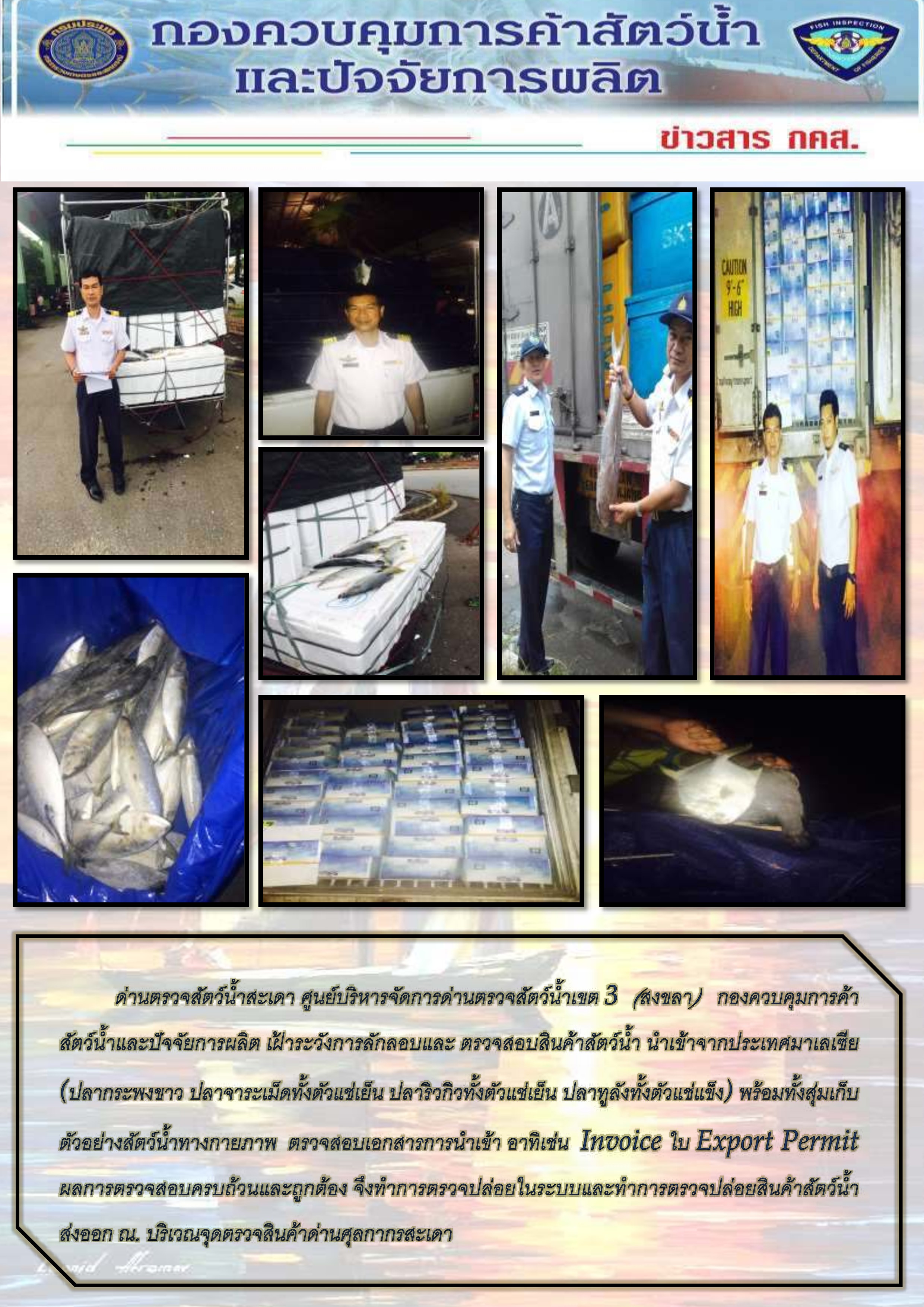 เจ้าหน้าที่ด่าน ฯ สะเดา ตรวจสอบสินค้าสัตว์น้ำนำเข้าจากประเทศมาเลเซีย และตรวจสอบสินค้าส่งออกสัตว์น้ำ ณ บริเวณจุดตรวจสินค้าด่านศุลกากรสะเดา..คลิก