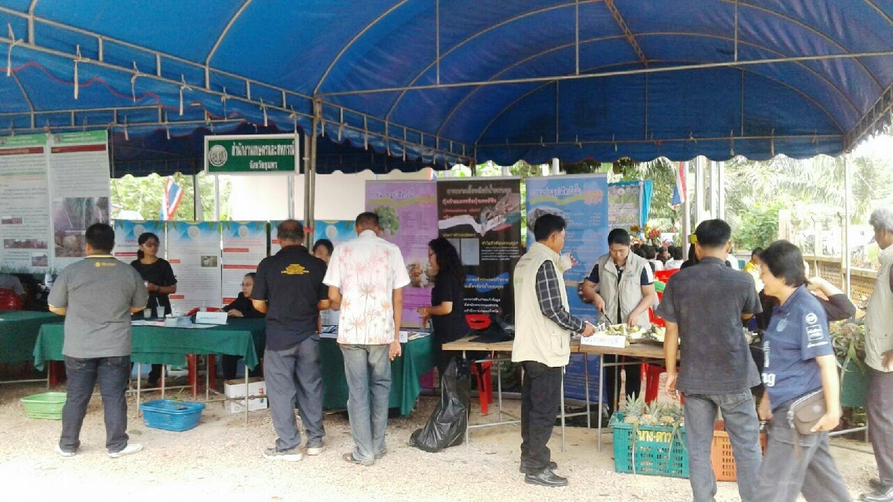 งานวันถ่ายทอดเทคโนโลยี(Field day) อ.เมืองชุมพร จ.ชุมพร..คลิก