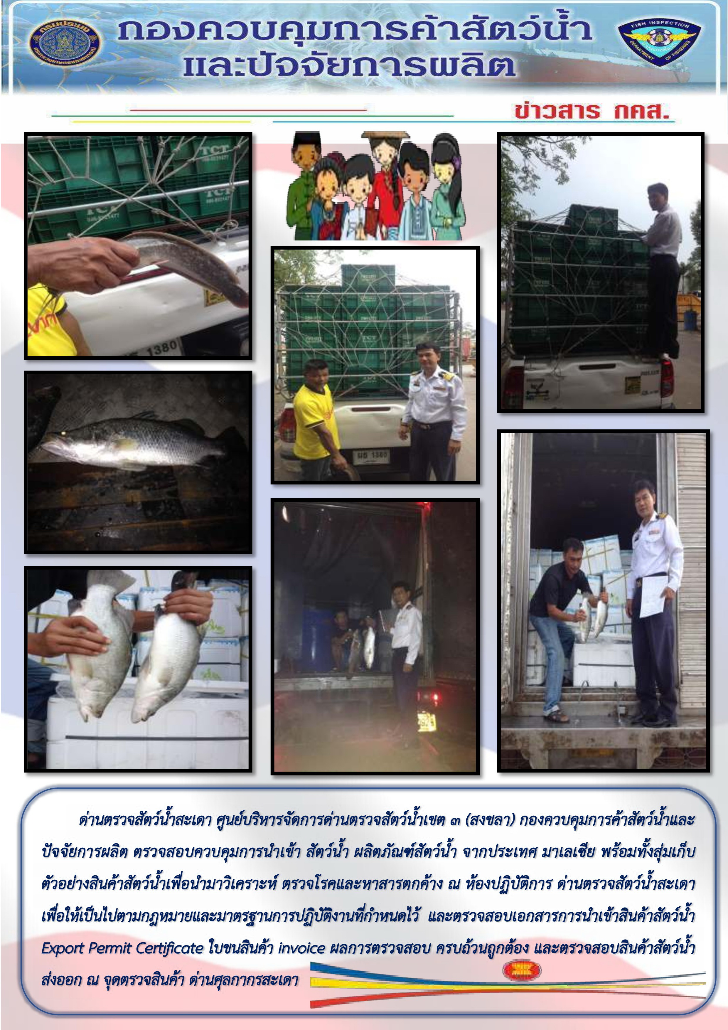 ข่าวสาร กคส ประจำวันนี้..ตรวจสอบ ควบคุมการนำเข้าสัตว์น้ำ ณ จุดตรวจสินค้า ด่านศุลกากรสะเดา..คลิก