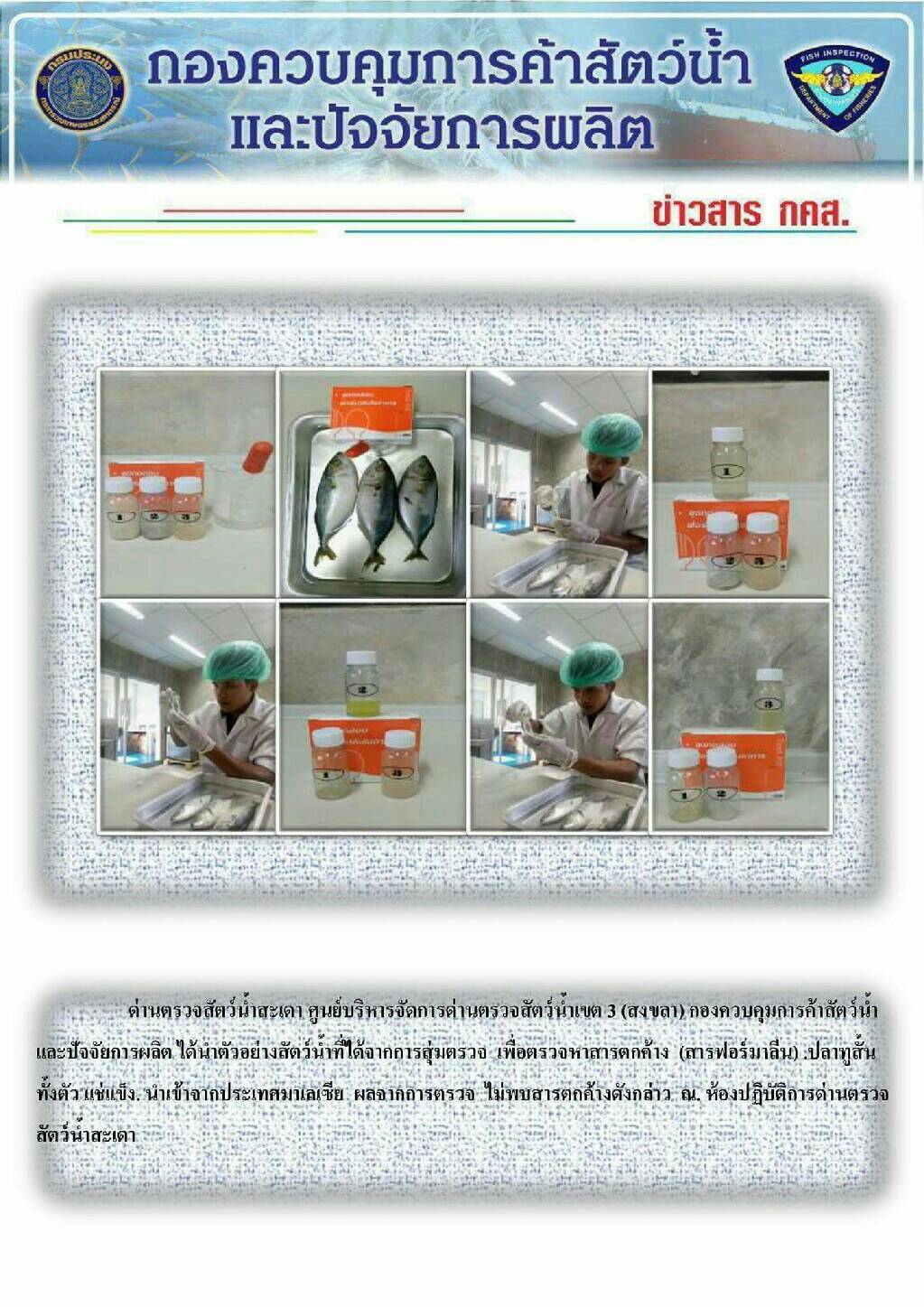 ด่านตรวจสัตว์น้ำสะเดาได้นำตัวอย่างสัตว์น้ำนำเข้าที่ได้จากการสุ่มตรวจ เพื่อตรวจหาสารตกค้าง(สารฟอร์มาลิน)ปลาทูสั้นทั้งตัวแช่แข็ง ณ ห้องปฎิบัติการด่านฯสะเดา..คลิก