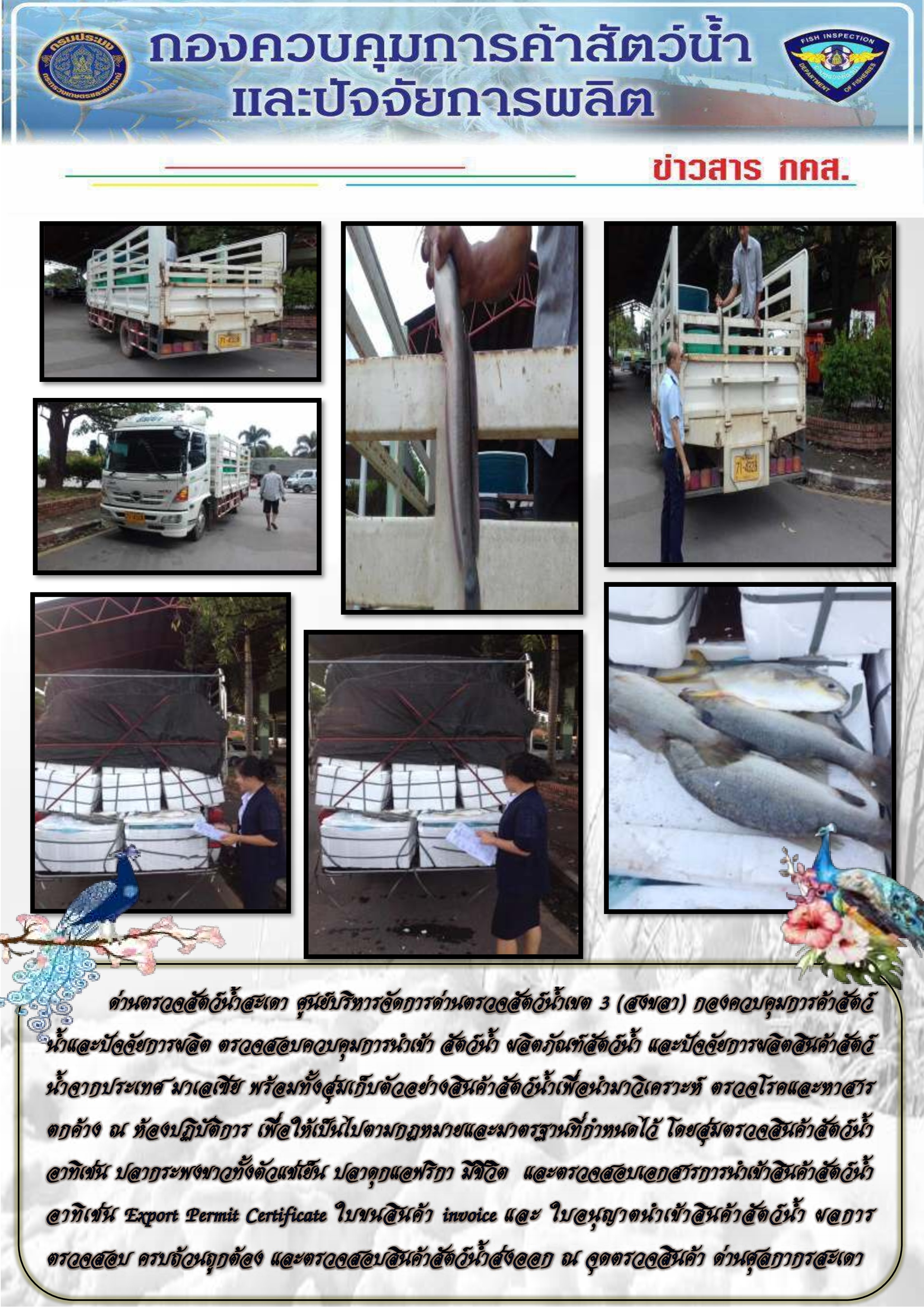 ข่าวสาร กคส. ประจำวันที่ 1 ของเดือนมิถุนายน 2560..คลิก