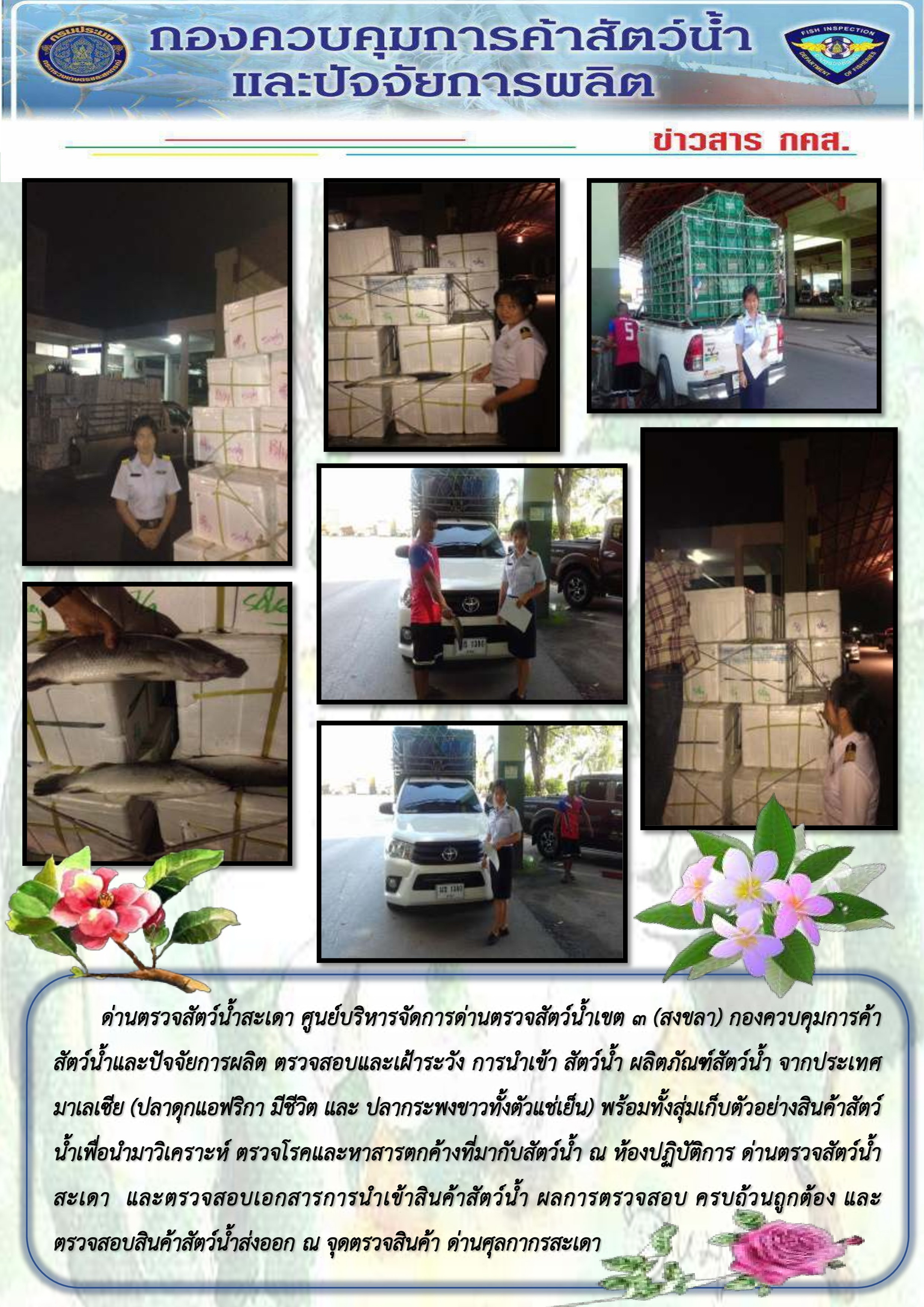 เจ้าหน้าที่ด่านฯสะเดา ตรวจสอบและเฝ้าระวัง การนำเข้าสัตว์น้ำ ผลิตภัณฑ์สัตว์น้ำจากประเทศมาเลเซีย ณ จุดตรวจสินค้าด่านศุลกากรสะเดา..คลิก