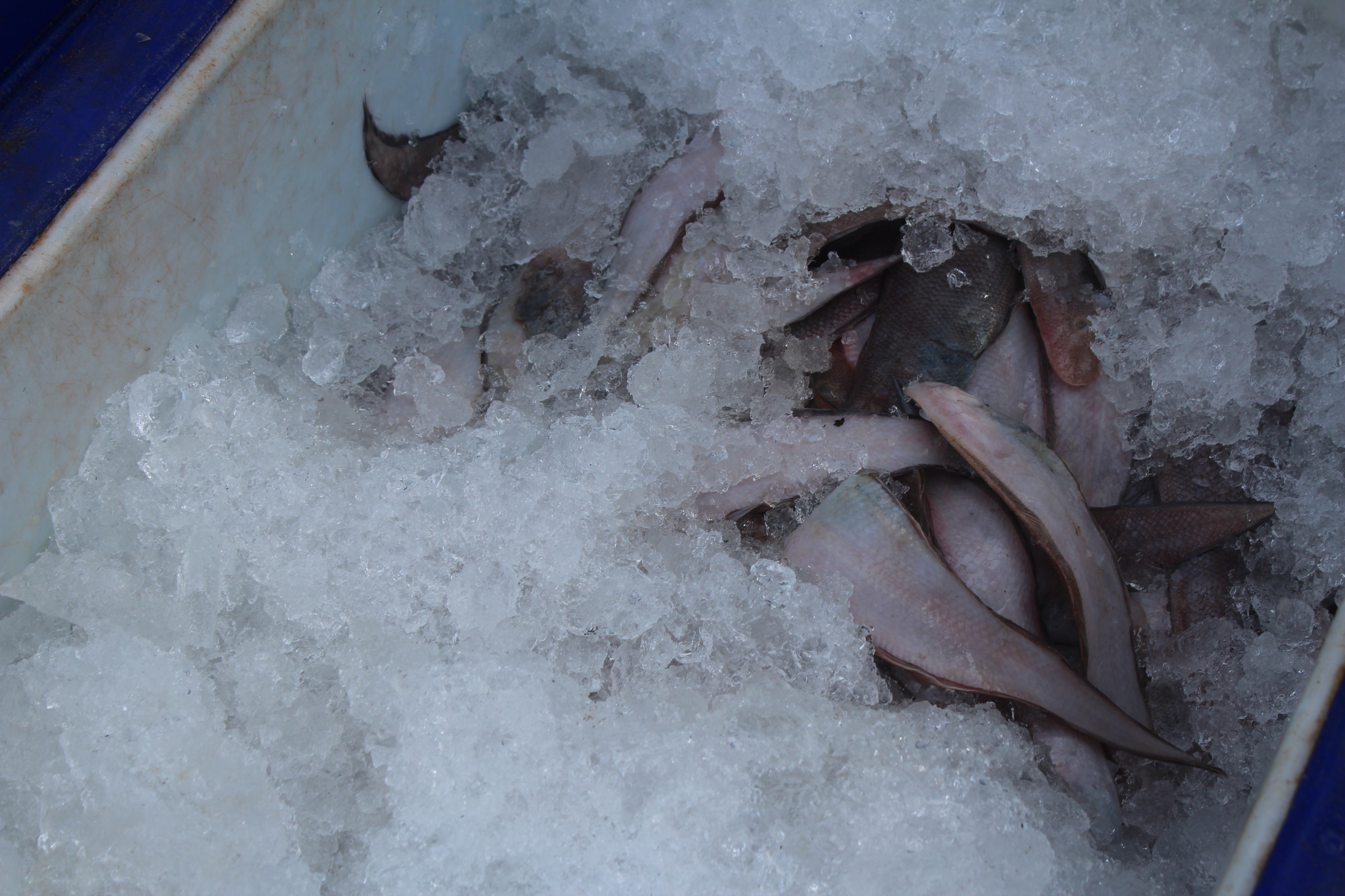 สินค้านำเข้าจากประเทศเมียนมาร์..คลิก