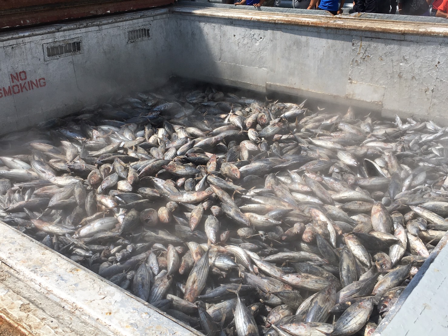 ศูนย์บริหารจัดการด่านตรวจสัตว์น้ำเขต ๓ (สงขลา) ดำเนินการตรวจเรือ OSTROV BERINGA ซึ่งเป็นเรือขนถ่ายสัตว์น้ำต่างประเทศ..คลิก