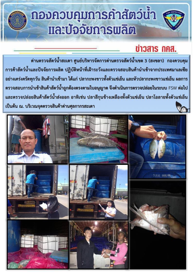 ข่าวสาร กคส. ประจำวันเสาร์ที่ 3 มิถุนายน 2560..คลิก