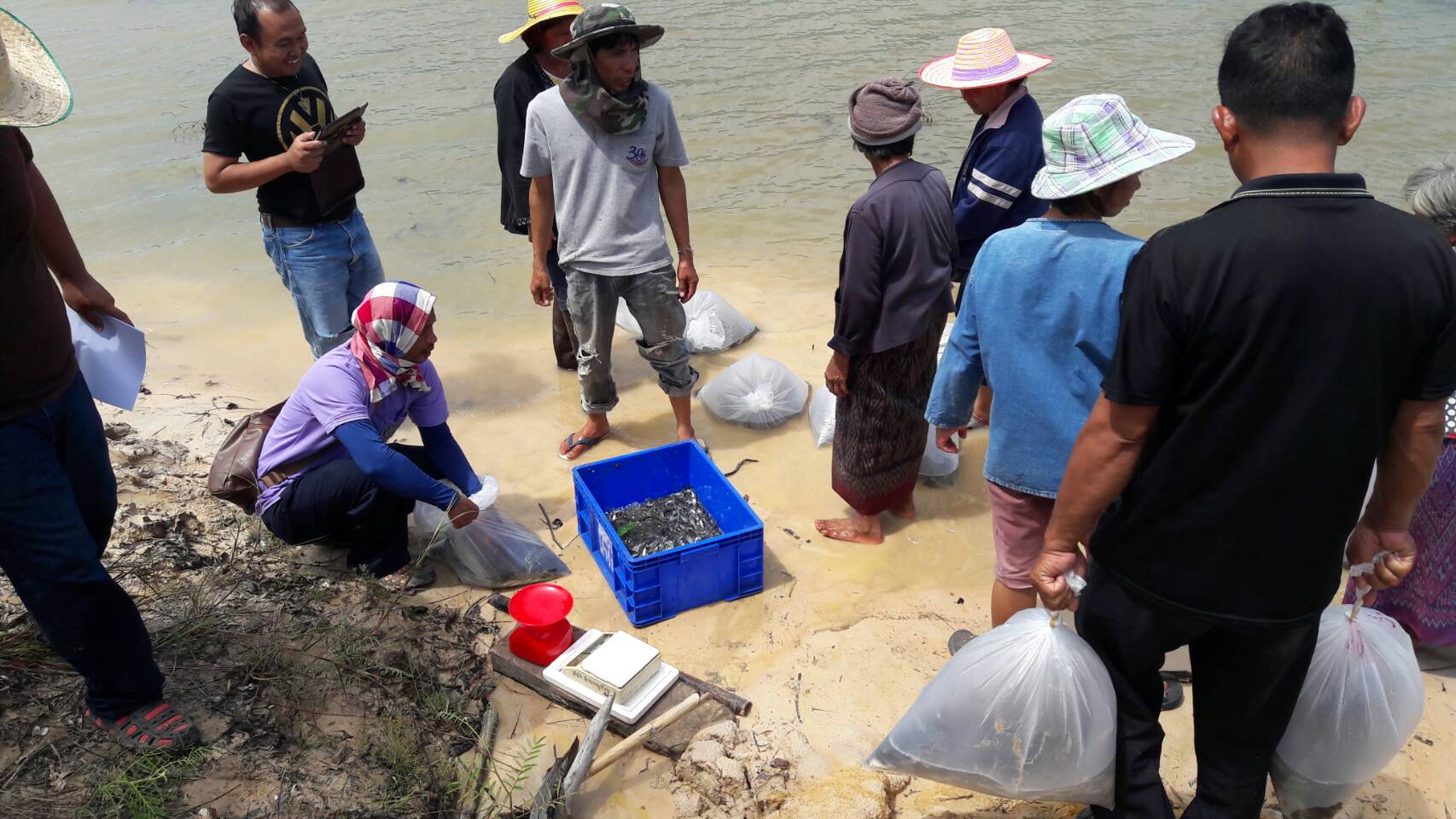 ศูนย์วิจัยและพัฒนาการเพาะเลี้ยงสัตว์น้ำจืดอำนาจเจริญ      ร่วมกับสำนักงานประมงจังหวัดอำนาจเจริญ สำนักงานประมงอำเภอลืออำนาจ และ คณะกรรมการดำเนินงานโครงการธนาคารผลผลิตเกษตรด้านการประมงบ้านฟ้าห่วนและบ้านนาอุดม..คลิก
