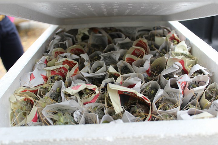 สินค้านำเข้าจากประเทศเมียนมาร์