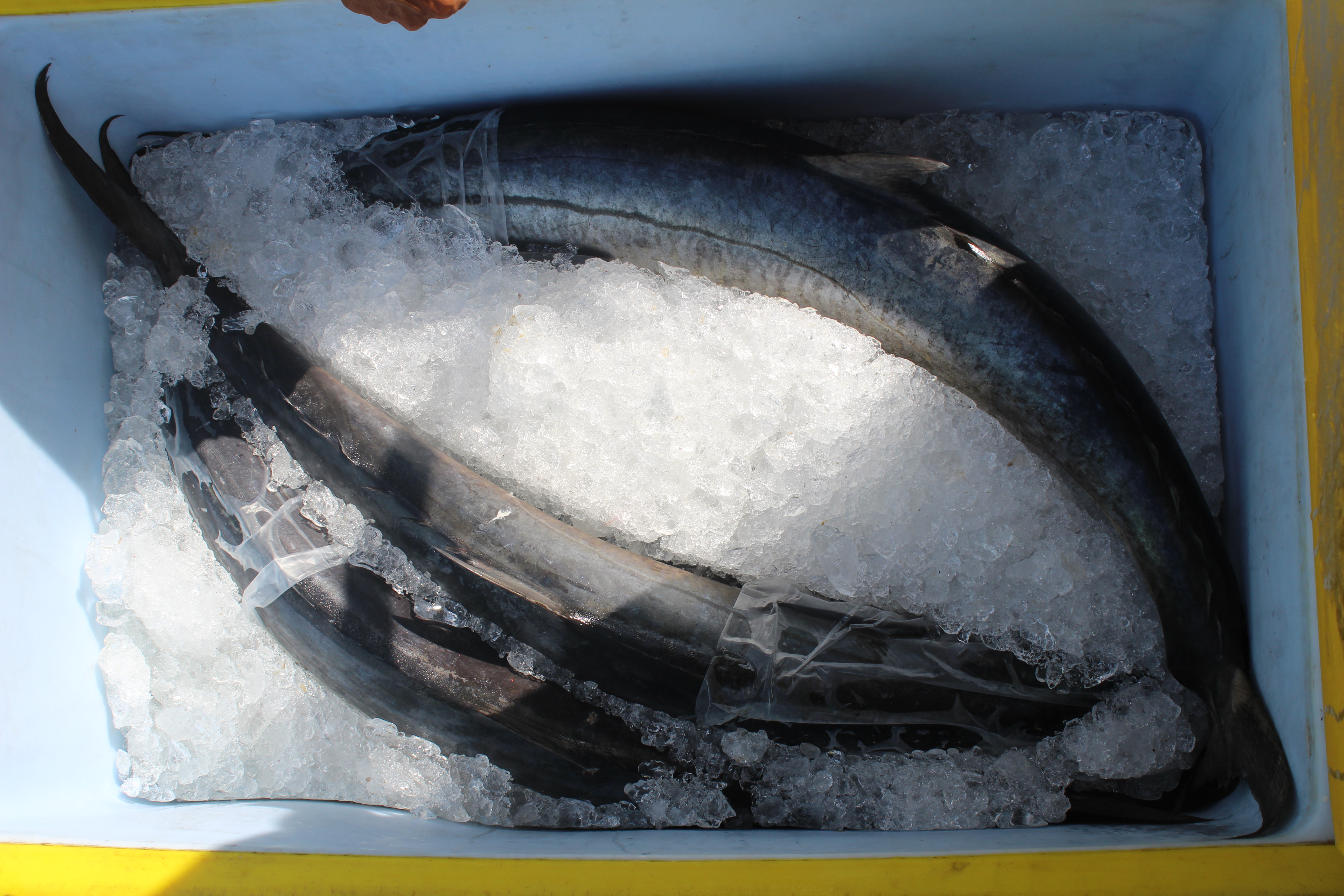 สินค้านำเข้าจากประเทศเมียนมาร์..คลิก