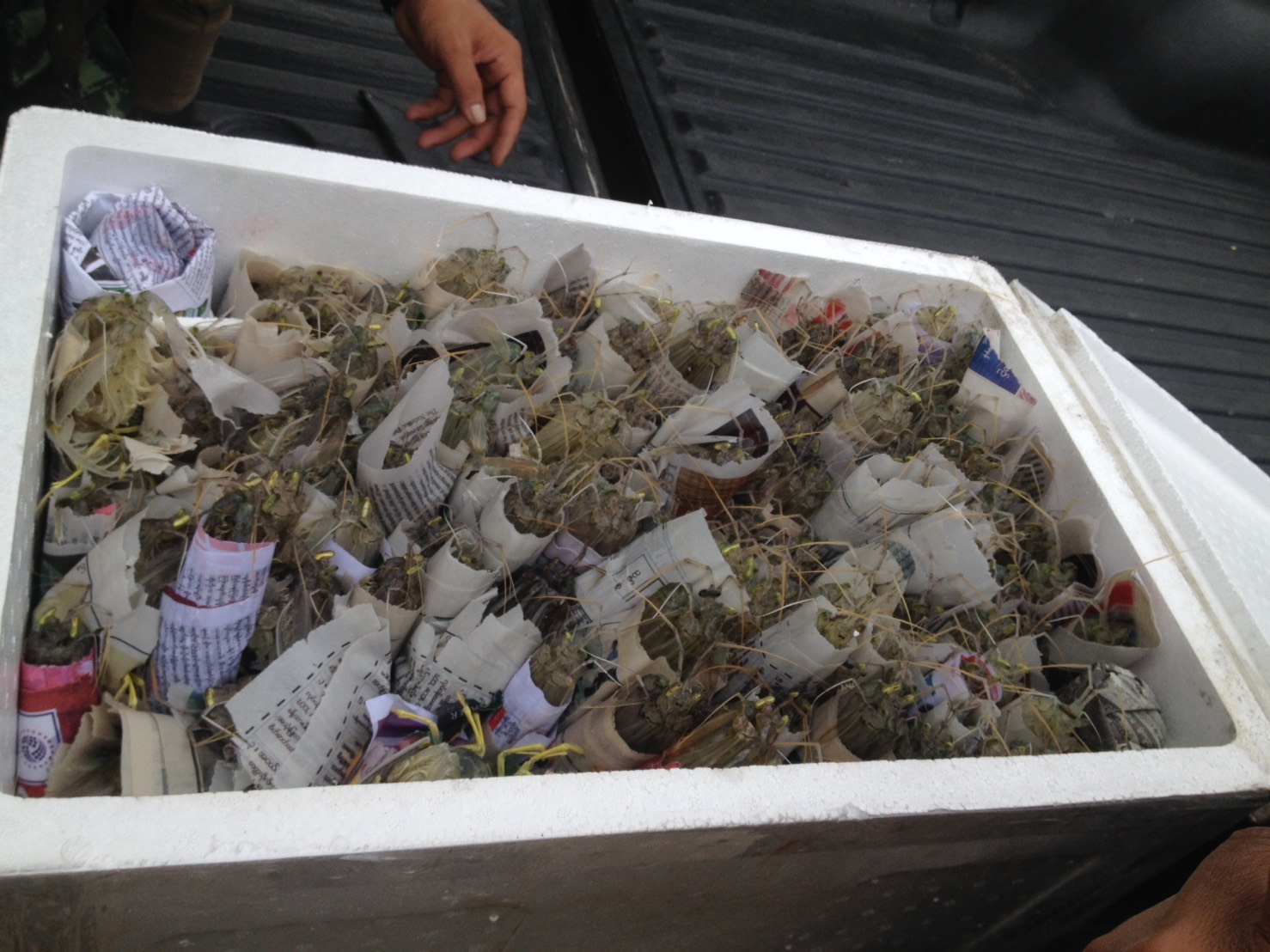 สินค้านำเข้าจากประเทศเมียนมาร์..คลิก