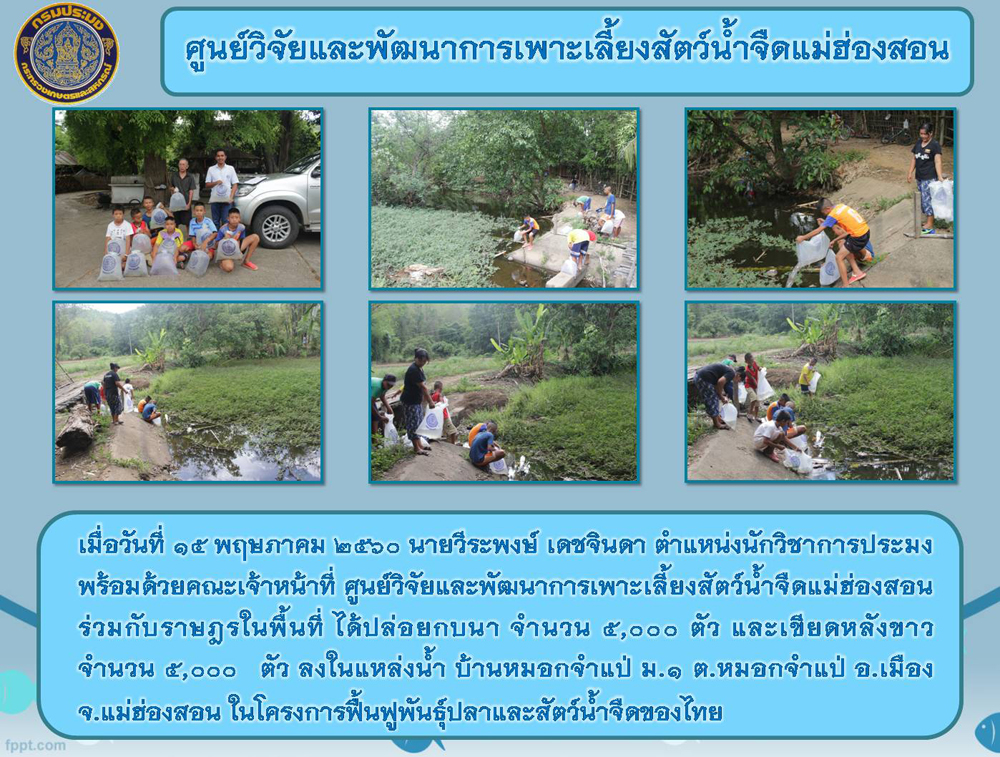 กิจกรรมปล่อยกบนา ในพื้นที่โครงการพื้นฟูพันธุ์ปลาและสัตว์น้ำจืดของไทย..คลิก