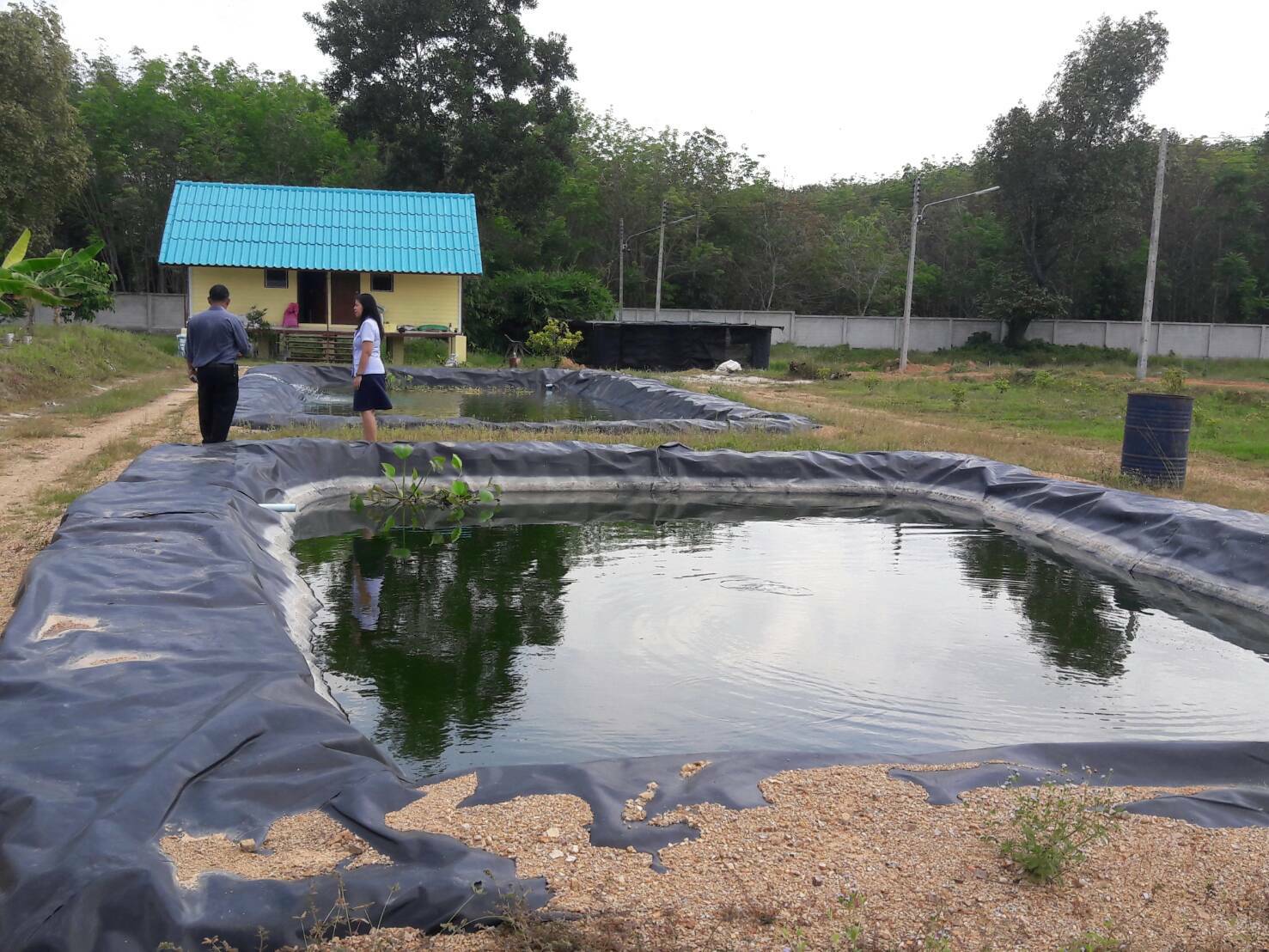 วันนี้ (12 มิ.ย. 2560)นางธศินี นนทพันธ์ ประมงอำเภอรัตภูมิ..คลิก