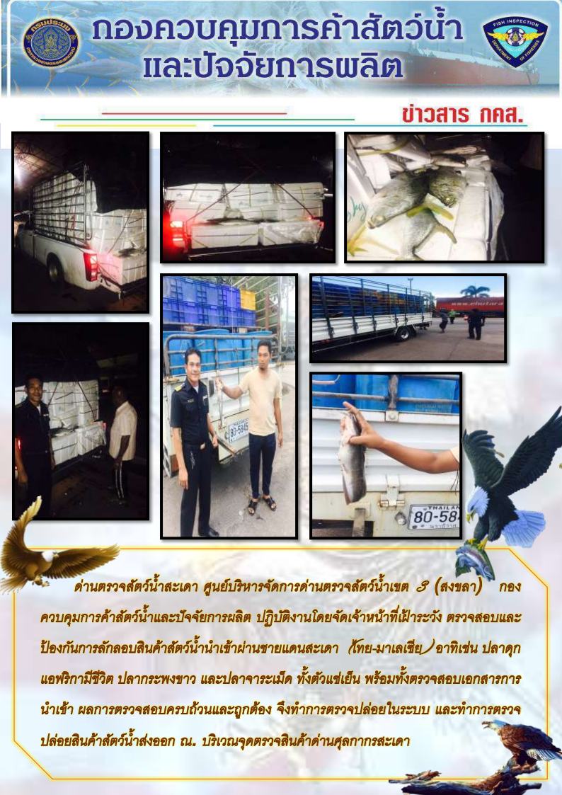 ข่าวสาร กคส ประจำวันอังคารที่ 13 มิถุนายน 2560 ตรวจสอบสินค้าสัตว์น้ำนำเข้าส่งออก ณ บริเวณจุดตรวจสินค้าด่านศุลกากรสะเดา..คลิก