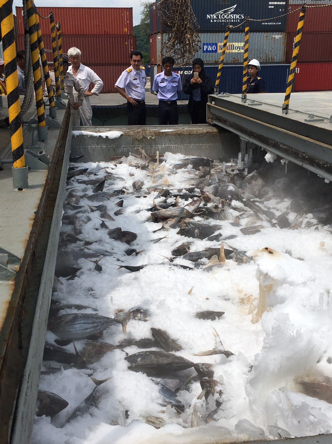 ศูนย์บริหารจัดการด่านตรวจสัตว์น้ำเขต ๓ (สงขลา) ดำเนินการตรวจเรือ KATAH ซึ่งเป็นเรือขนถ่ายสัตว์น้ำต่างประเทศ..คลิก