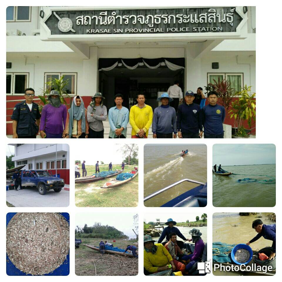 วันนี้  (14  มิ.ย. 60)  นายยุทธนา  ราญฎร  ประมงอำเภอกระแสสินธุ์..คลิก