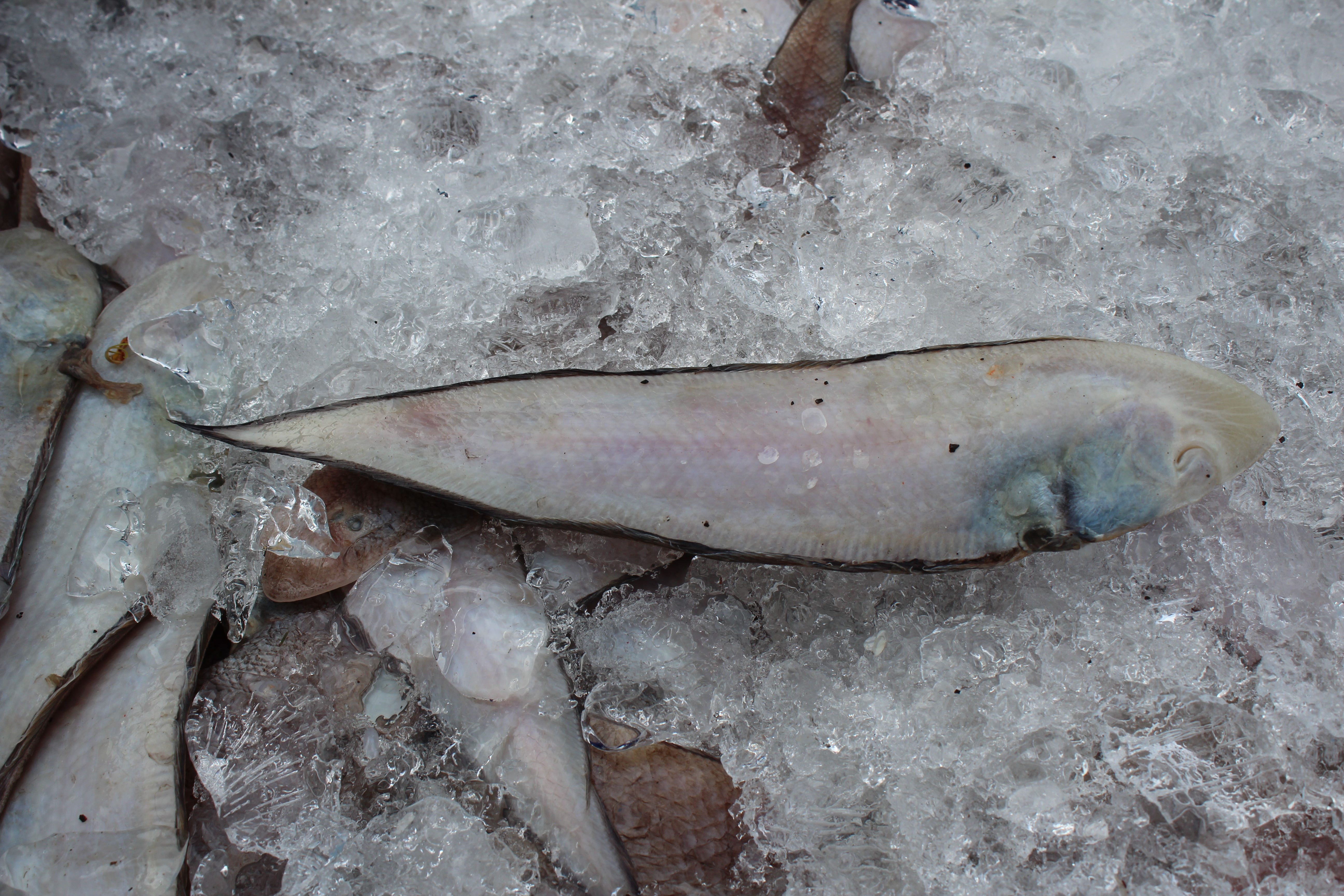 สินค้านำเข้าจากประเทศเมียนมาร์..คลิก