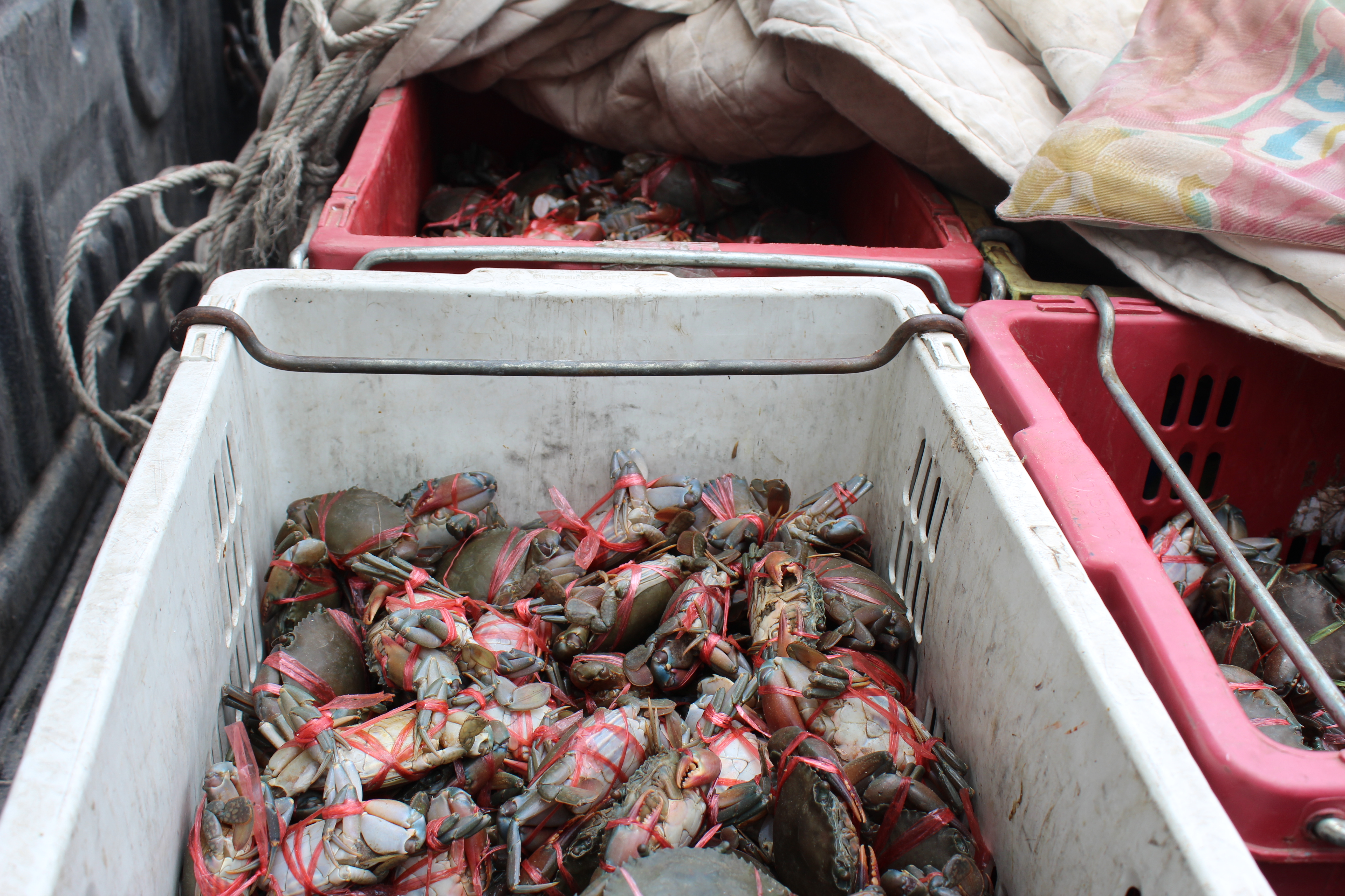 สินค้านำเข้าจากประเทศเมียนมาร์