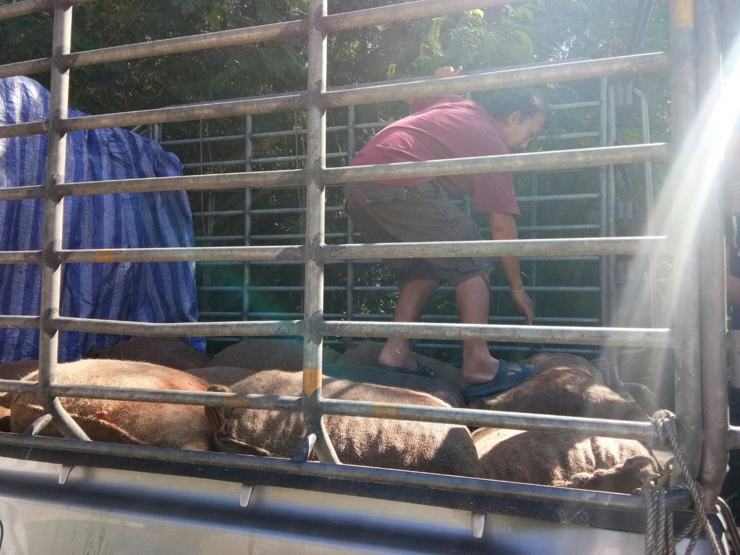 สินค้านำเข้าจากประเทศเมียนมาร์